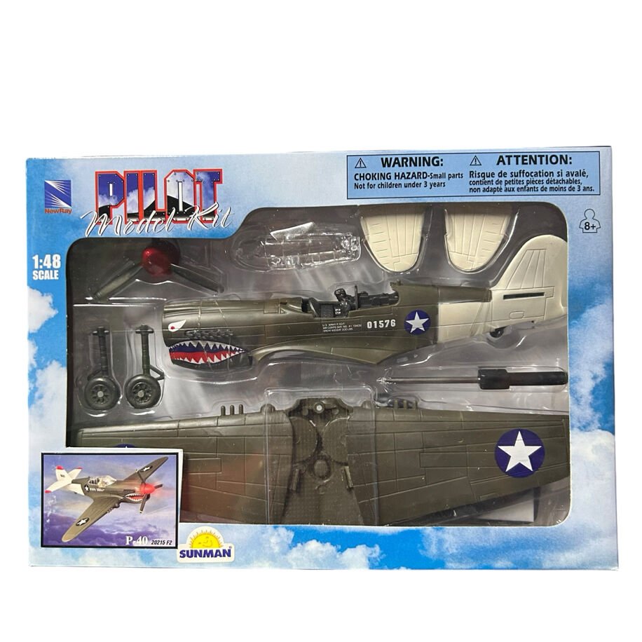 Newray Pilot Kit P-40