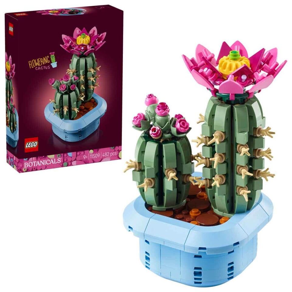 LEGO Botanicals Çiçekli Kaktüs 11509