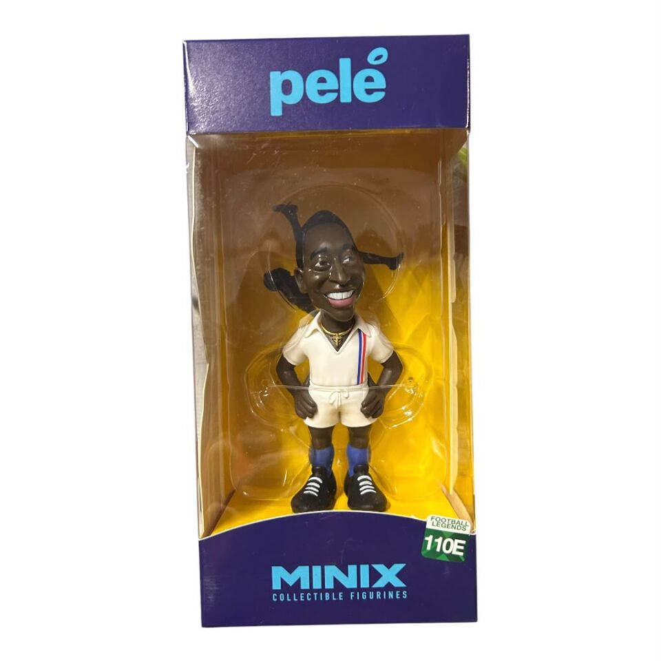 Minix Pele 110E